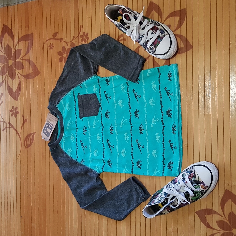 Teal & Charcoal Gray Longsleeve 🦖🦕